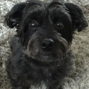 Meet your Posher, Lynn